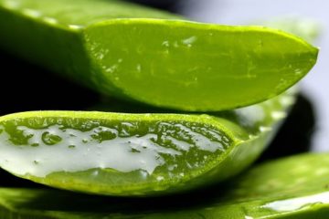 bienfaits de l'aloe vera pour la peau du visage astuces beauté par Isa