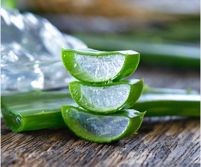 aloe vera feuille coupée gel translucide soin naturel