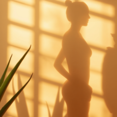 Ma Silhouette
