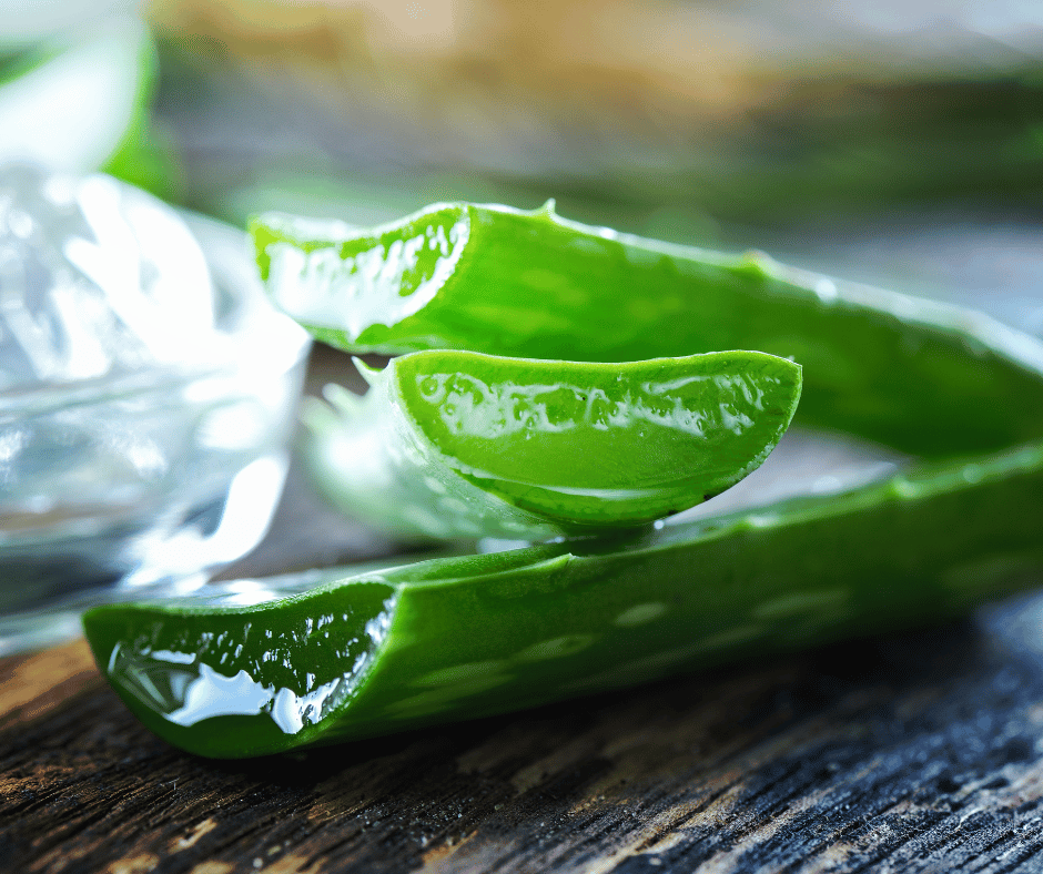 gel aloe vera extrait feuille bienfaits peau