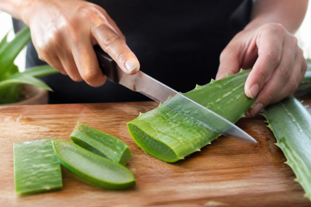 Découpe d'une feuille d'aloe fraiche