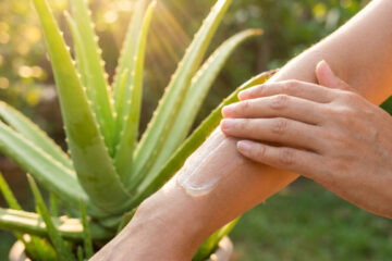 Gel d'aloe vera appliqué sur la peau après une exposition au soleil