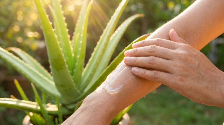 Gel d'aloe vera appliqué sur la peau après une exposition au soleil