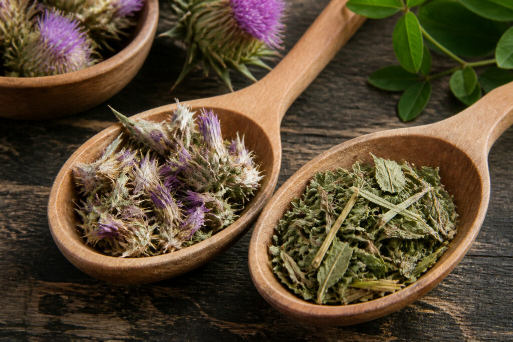 plantes pour aider l'organisme à se détoxifier