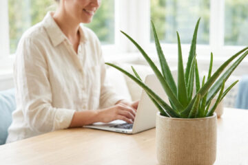 Femme qui travaille sur son ordinateur à domicile avec une plante d'aloès sur son bureau