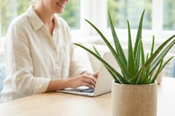 Produits Forever Living : plante d’aloe vera en pot sur une table, devant une femme souriante qui travaille sur son ordinateur