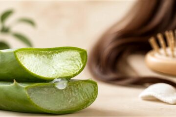 Feuille d'aloe vera fraîche et gel naturel pour les cheveux